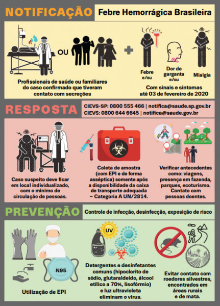 arenavírus febre hemorrágica brasileira